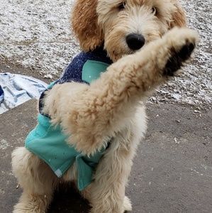 Meet your Posher, Melanie